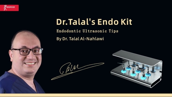 Woodpecker Dr.Talals Endo Kit