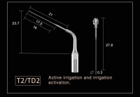 Woodpecker Dr.Talals Endo Kit